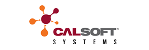 カルソフトシステムズ
