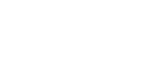 REPORT
